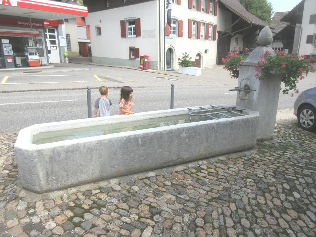 Pfarrhaus *** 1821 *** Solothurner Kalk mit Spiralschnecken (Nerineen) *** Solothurnerkalk *** Monolith, Brunnenstock mit Eichel